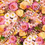 Colour:J