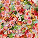 Colour:A