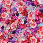 Colour:B