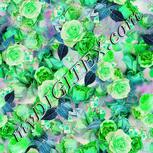 Colour:C