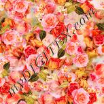 Colour:J