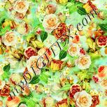 Colour:K