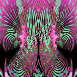 Colour:B