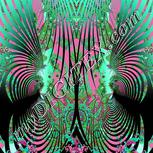 Colour:C