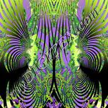 Colour:D