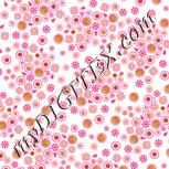 Colour:B