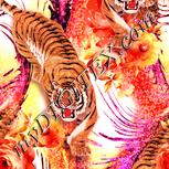 Colour:J