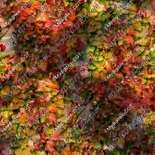 D017520