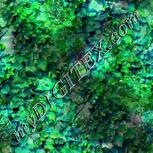 Colour:C
