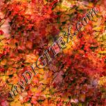 Colour:J