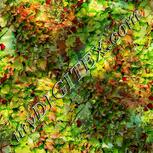 Colour:K