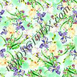 Colour:K