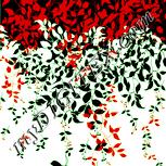 Colour:K