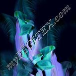 Colour:F