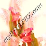 Colour:J