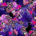 Colour:B