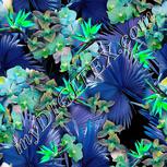 Colour:C