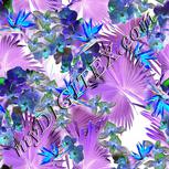 Colour:F