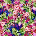 Colour:B