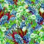 Colour:D