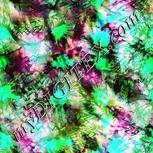 Colour:C