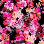 Colour:B