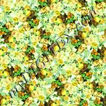 Colour:K