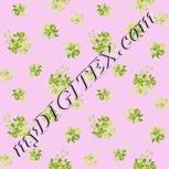 Colour:B
