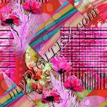 Colour:B