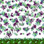 Colour:C