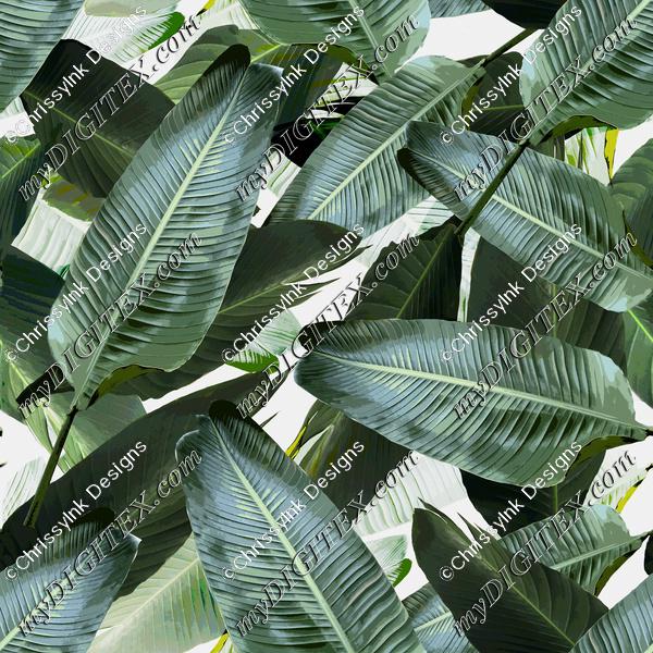Palm Banana Leaf REPEAT
