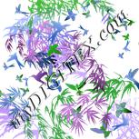 Colour:B