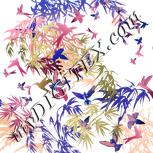 Colour:D