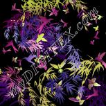 Colour:F