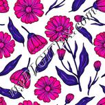 Colour:B