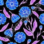 Colour:F