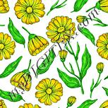 Colour:K