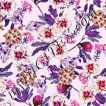 Colour:B