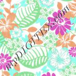 Colour:B