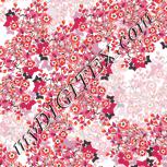 Colour:B