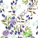 Colour:D