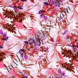 Colour:B