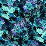 Colour:F