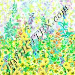 Colour:K