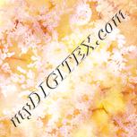 Colour:J