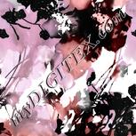 Colour:B