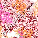 Colour:J