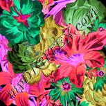 Colour:F