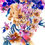 Colour:B