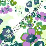 Colour:K
